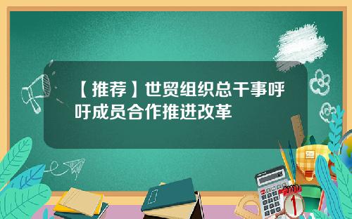 【推荐】世贸组织总干事呼吁成员合作推进改革