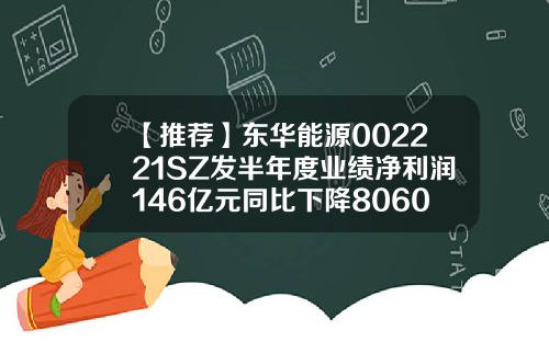 【推荐】东华能源002221SZ发半年度业绩净利润146亿元同比下降8060东华能源公司利润表