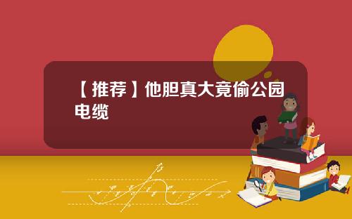 【推荐】他胆真大竟偷公园电缆