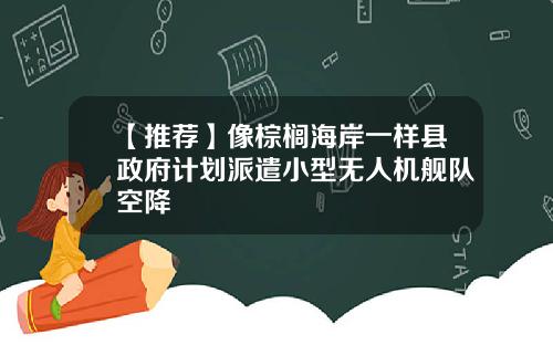 【推荐】像棕榈海岸一样县政府计划派遣小型无人机舰队空降
