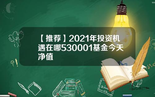 【推荐】2021年投资机遇在哪530001基金今天净值