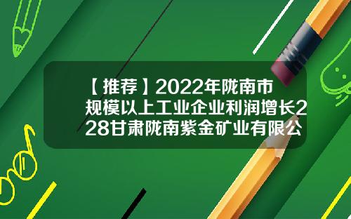 【推荐】2022年陇南市规模以上工业企业利润增长228甘肃陇南紫金矿业有限公司