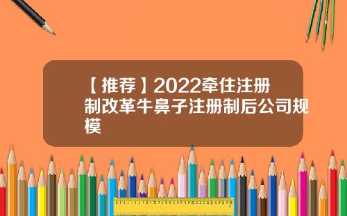 【推荐】2022牵住注册制改革牛鼻子注册制后公司规模