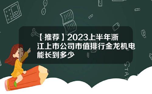 【推荐】2023上半年浙江上市公司市值排行金龙机电能长到多少