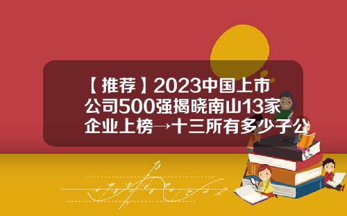 【推荐】2023中国上市公司500强揭晓南山13家企业上榜→十三所有多少子公司