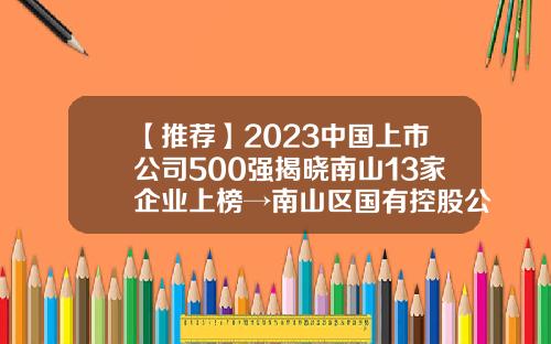 【推荐】2023中国上市公司500强揭晓南山13家企业上榜→南山区国有控股公司