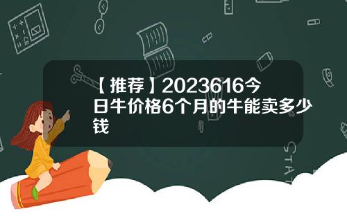 【推荐】2023616今日牛价格6个月的牛能卖多少钱