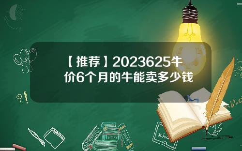 【推荐】2023625牛价6个月的牛能卖多少钱
