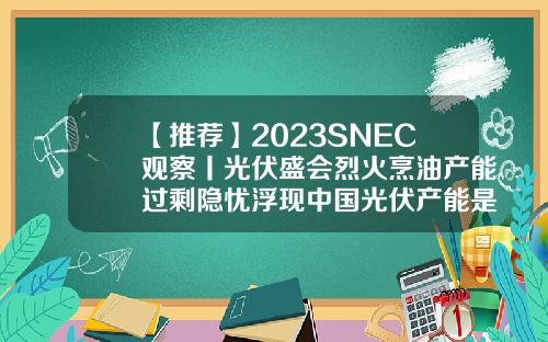 【推荐】2023SNEC观察丨光伏盛会烈火烹油产能过剩隐忧浮现中国光伏产能是多少