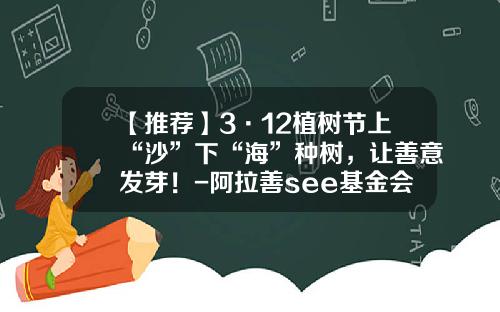 【推荐】3·12植树节上“沙”下“海”种树，让善意发芽！-阿拉善see基金会树苗编号