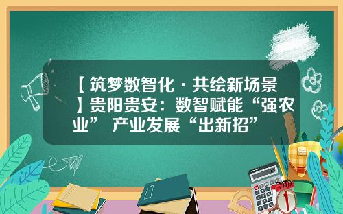 【筑梦数智化·共绘新场景】贵阳贵安：数智赋能“强农业” 产业发展“出新招”