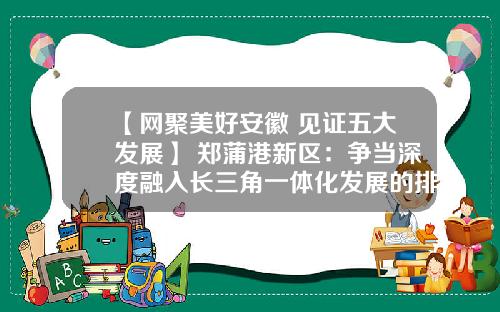 【网聚美好安徽 见证五大发展】 郑蒲港新区：争当深度融入长三角一体化发展的排头兵