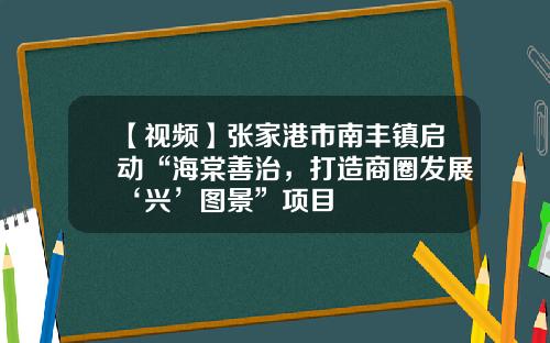 【视频】张家港市南丰镇启动“海棠善治，打造商圈发展‘兴’图景”项目