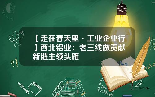 【走在春天里·工业企业行】西北铝业：老三线做贡献 新链主领头雁