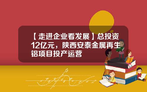 【走进企业看发展】总投资12亿元，陕西安泰金属再生铝项目投产运营
