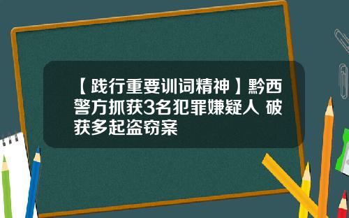 【践行重要训词精神】黔西警方抓获3名犯罪嫌疑人 破获多起盗窃案