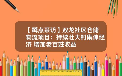 【蹲点采访】双龙社区仓储物流项目：持续壮大村集体经济 增加老百姓收益