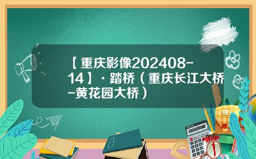 【重庆影像202408-14】·踏桥（重庆长江大桥-黄花园大桥）