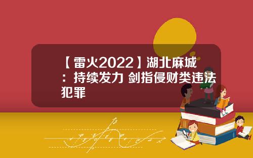 【雷火2022】湖北麻城：持续发力 剑指侵财类违法犯罪