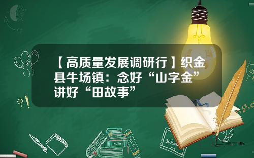 【高质量发展调研行】织金县牛场镇：念好“山字金” 讲好“田故事”