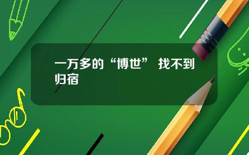 一万多的“博世” 找不到归宿