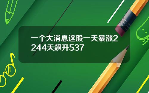 一个大消息这股一天暴涨2244天飙升537