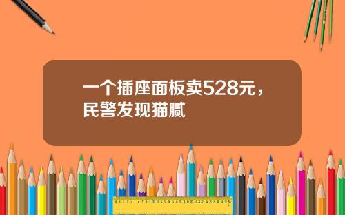 一个插座面板卖528元，民警发现猫腻