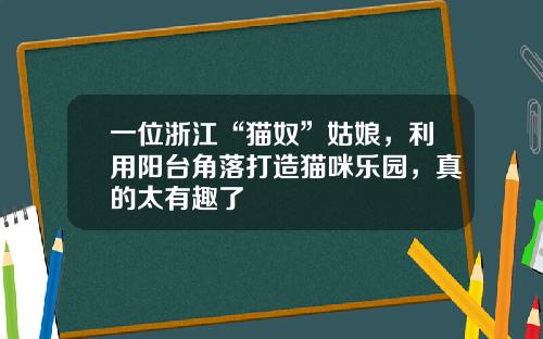 一位浙江“猫奴”姑娘，利用阳台角落打造猫咪乐园，真的太有趣了
