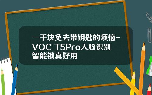 一千块免去带钥匙的烦恼-VOC T5Pro人脸识别智能锁真好用