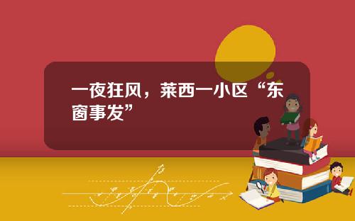 一夜狂风，莱西一小区“东窗事发”