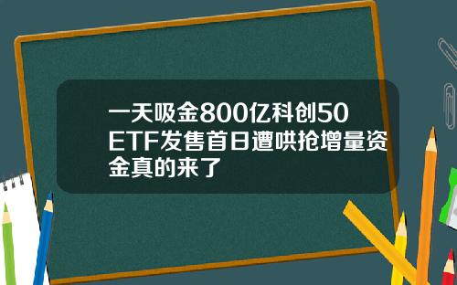 一天吸金800亿科创50ETF发售首日遭哄抢增量资金真的来了
