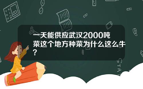 一天能供应武汉2000吨菜这个地方种菜为什么这么牛？