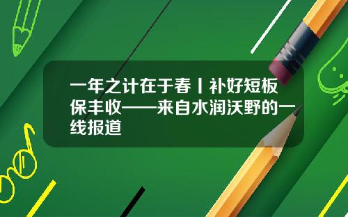 一年之计在于春丨补好短板保丰收——来自水润沃野的一线报道