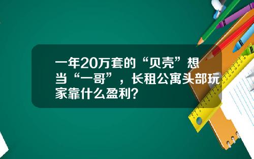 一年20万套的“贝壳”想当“一哥”，长租公寓头部玩家靠什么盈利？