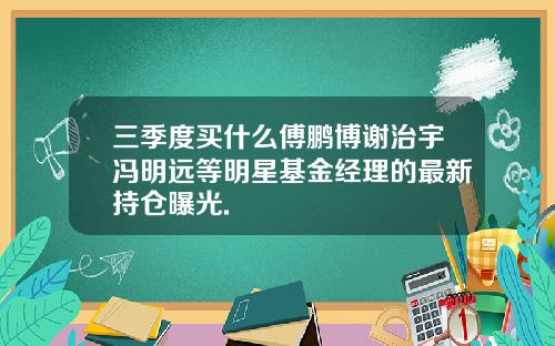 三季度买什么傅鹏博谢治宇冯明远等明星基金经理的最新持仓曝光.