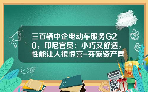 三百辆中企电动车服务G20，印尼官员：小巧又舒适，性能让人很惊喜-芬碳资产管理有限公司【新闻】