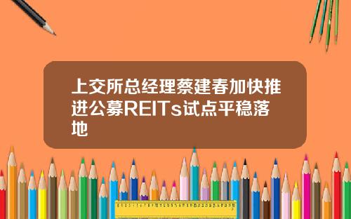 上交所总经理蔡建春加快推进公募REITs试点平稳落地