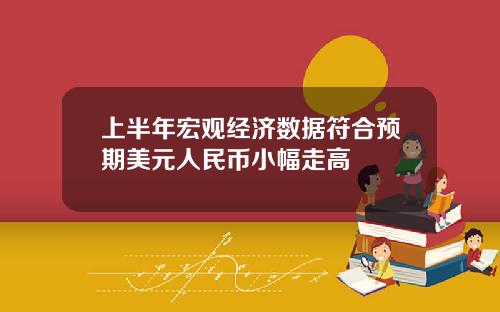 上半年宏观经济数据符合预期美元人民币小幅走高