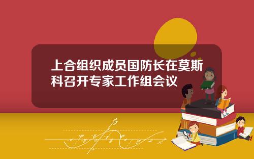 上合组织成员国防长在莫斯科召开专家工作组会议
