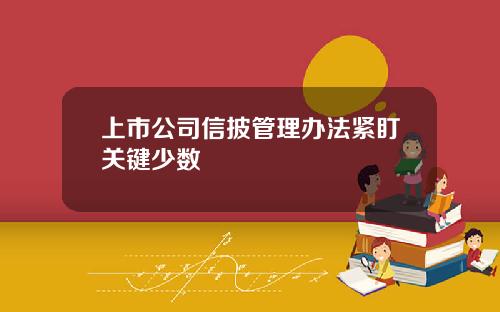 上市公司信披管理办法紧盯关键少数