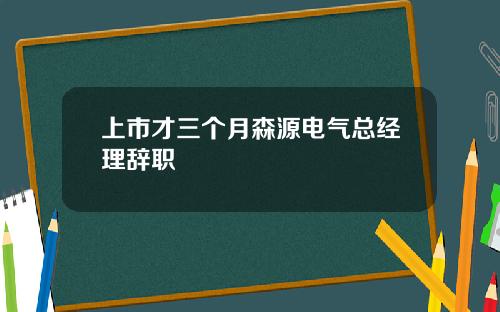 上市才三个月森源电气总经理辞职