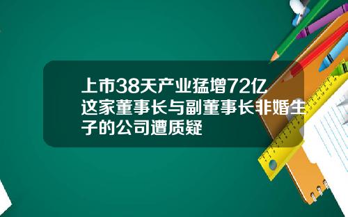 上市38天产业猛增72亿这家董事长与副董事长非婚生子的公司遭质疑