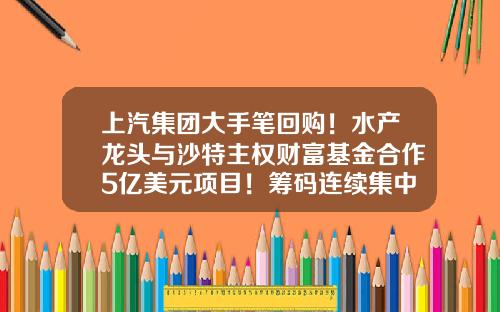 上汽集团大手笔回购！水产龙头与沙特主权财富基金合作5亿美元项目！筹码连续集中股出炉（附股）-免费的股票资讯