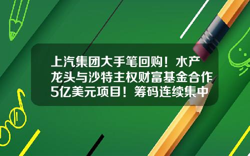 上汽集团大手笔回购！水产龙头与沙特主权财富基金合作5亿美元项目！筹码连续集中股出炉（附股）-收费资讯网站股票