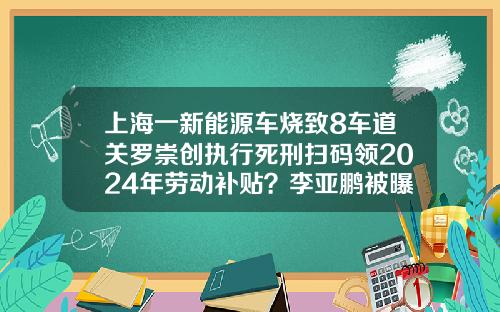 上海一新能源车烧致8车道关罗崇创执行死刑扫码领2024年劳动补贴？李亚鹏被曝光.