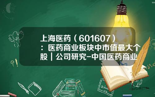 上海医药（601607）：医药商业板块中市值最大个股｜公司研究-中国医药商业公司
