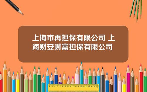 上海市再担保有限公司 上海财安财富担保有限公司