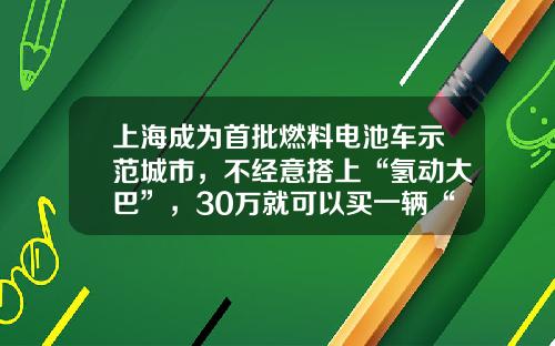 上海成为首批燃料电池车示范城市，不经意搭上“氢动大巴”，30万就可以买一辆“氢动SUV”-申龙客车35人多少钱【新闻】.