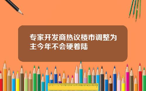 专家开发商热议楼市调整为主今年不会硬着陆