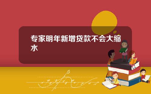 专家明年新增贷款不会大缩水